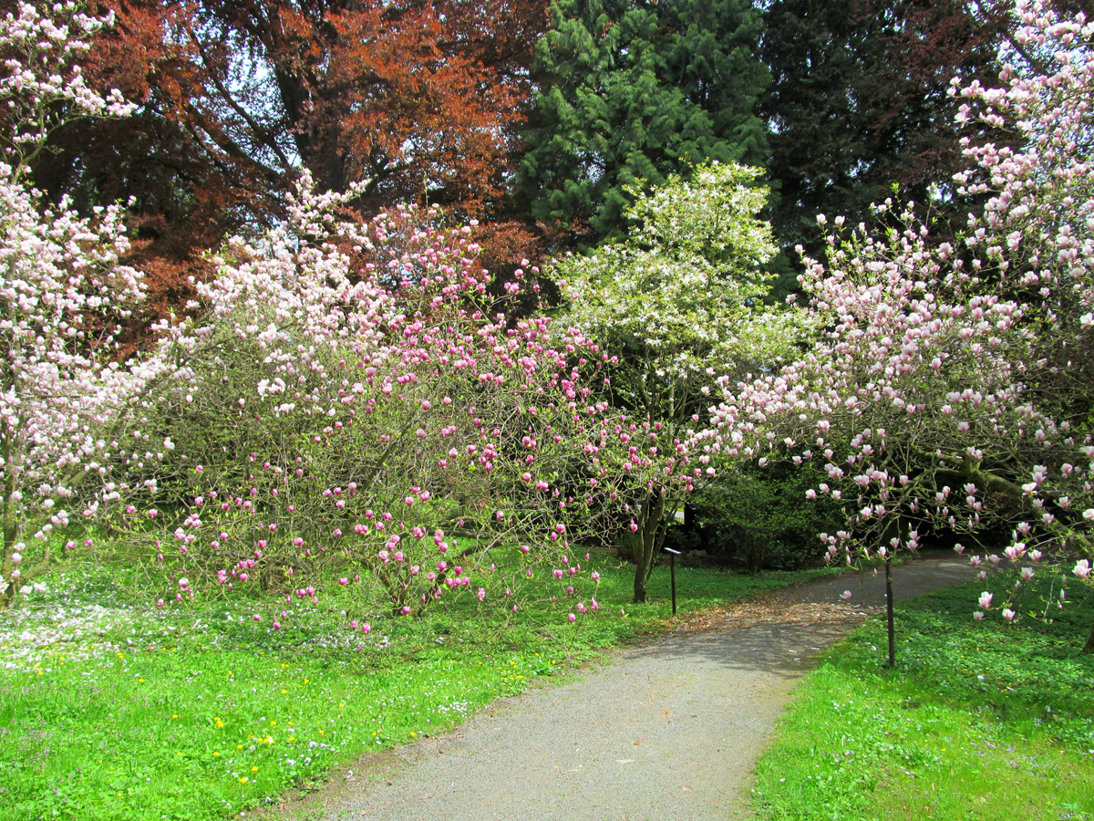 Arboretum Bílá Lhota