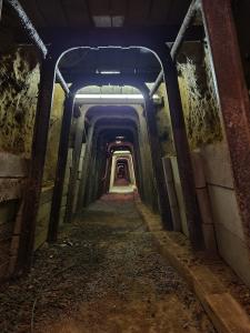 sčítání letounů pod Třesínem, únor 2022