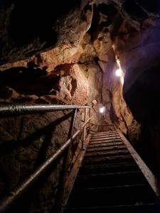 sčítání letounů pod Třesínem, únor 2022