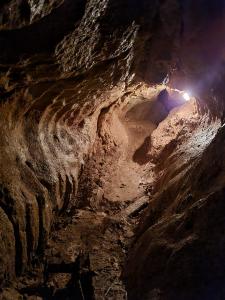 sčítání letounů pod Třesínem, únor 2022