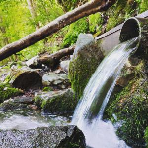 osvěžit se můžete z "Řimické vyvěračky"