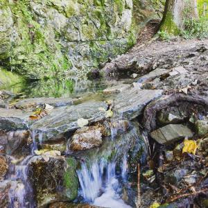 Řimická vyvěračka