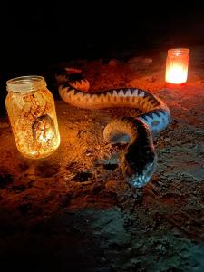 Halloween postrašil v Mladečských jeskyních 26.-27. října 2024