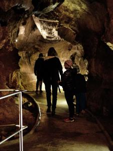 Ze tmy na světlo – probouzení netopýrů v Mladči, 5. 4. 2026