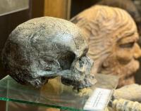 Mladečské jeskyně - lebka